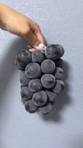 【補助金】お問い合わせはお早めに！⚡